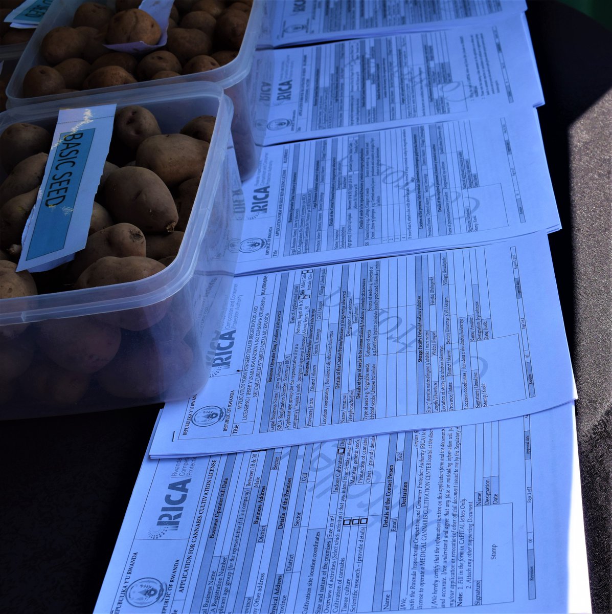 Tubahaye ikaze mu imurikabikorwa rya 16 ry'ubuhinzi n'ubworozi ryateguwe na <a href="/RwandaAgri/">Ministry of Agriculture & Animal Resources |Rwanda</a> ribera ku Mulindi #Gasabo  musure Stand ya RICA mumenye biruseho serivisi dutanga cyane cyane izibanda ku bugenzuzi bw'ubuziranenge bw'ibikomoka ku buhinzi n'ubworozi bitanyuze mu nganda.