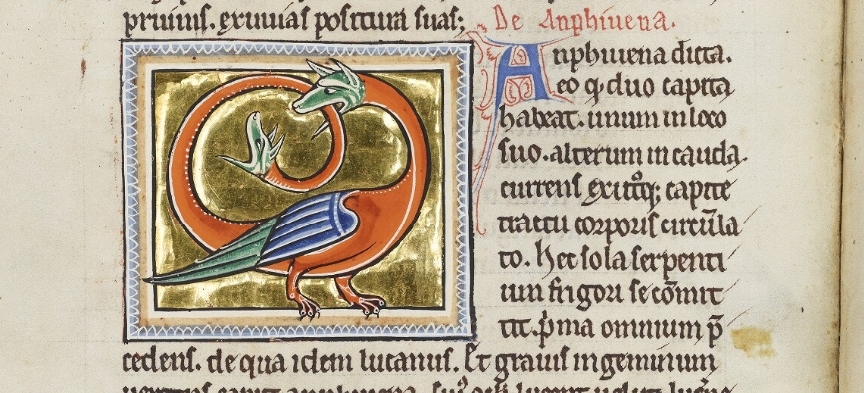 La investigadora Nadia Consiglieri <a href="/UBAonline/">UBAonline</a>, estudiosa del imaginario draconiano medieval, recorre las raíces antiguas de la anfisbena y estructura las principales tipologías de su imagen, en función de la composición de su cuerpo...