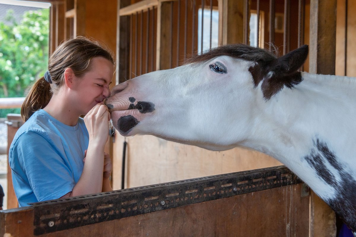 EalingRiding's tweet photo. "Not only is the stables a big part of the community, it is a big part of mine and my families lives. I can guarantee that it’s a place people come to not only have fun and keep active, but to look after their mental wellbeing..."  https://t.co/T0UBW6YKDB https://t.co/rgCiHb6HPb