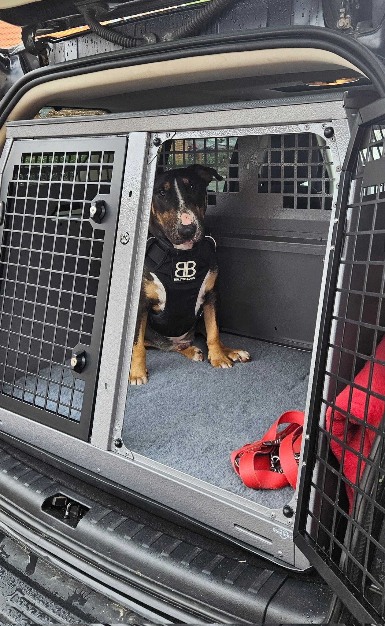 Transk9 b3 clearance