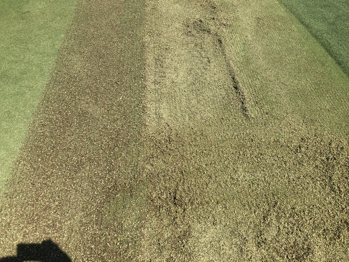 EvergladesJimL's tweet photo. Thank you Jonny and Miguel at Foxfire CC for your recent purchase of a new Wiedenmann ST720 walk behind w/ the verticutter head & fraze head. Light VC or heavy VC. No more sand dams on collars with the fraze head.
@wiedenmannusa @WiedenmannUK https://t.co/LB2KvBploc