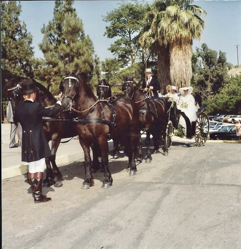 33 years ago Steve and Tammy Hefley rode this after their wedding. Happy Anniversary you two. Love you, Mom.