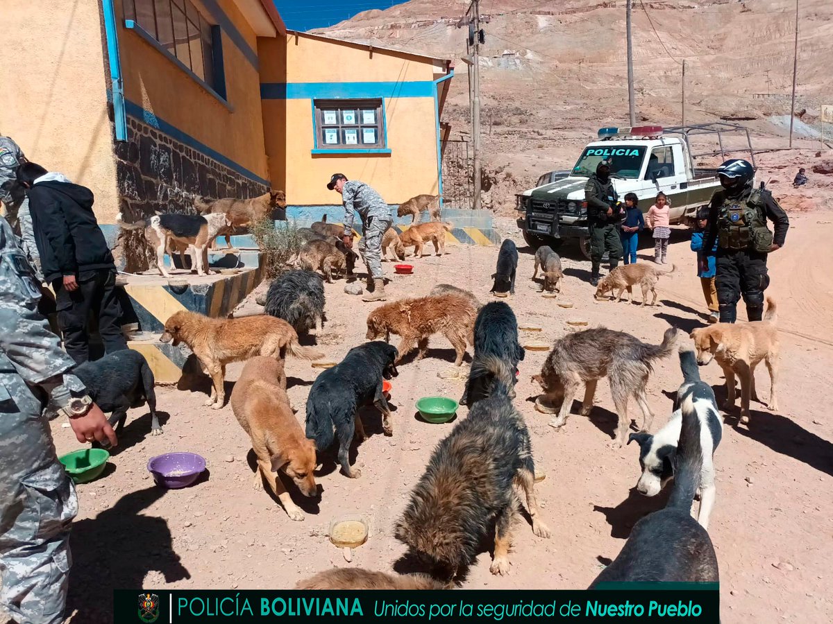 Pol_Boliviana's tweet photo. En honor al Día Mundial del Perro, nuestros policías del #GACIP #Potosi, llevaron a cabo una conmovedora jornada en la que visitaron a cientos de peluditos en distintas zonas de la ciudad. Durante esta iniciativa, brindaron alimentos, abrigos y revisión médica veterinaria. https://t.co/wglCPxKEUE