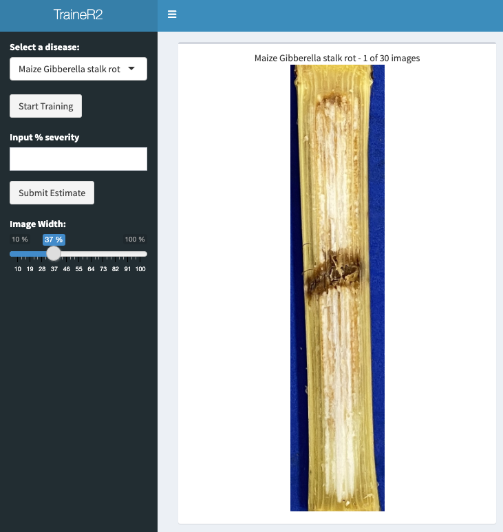 TraineR2 image database is growing! now with 9 diseases. Latest addition is Maize Gibberella stalk rot - images provided by <a href="/Gabriel97260369/">Gabriel Ferreira Paiva</a>