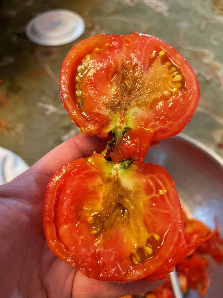 MSU Extension Plant Diagnostic Lab tweet media