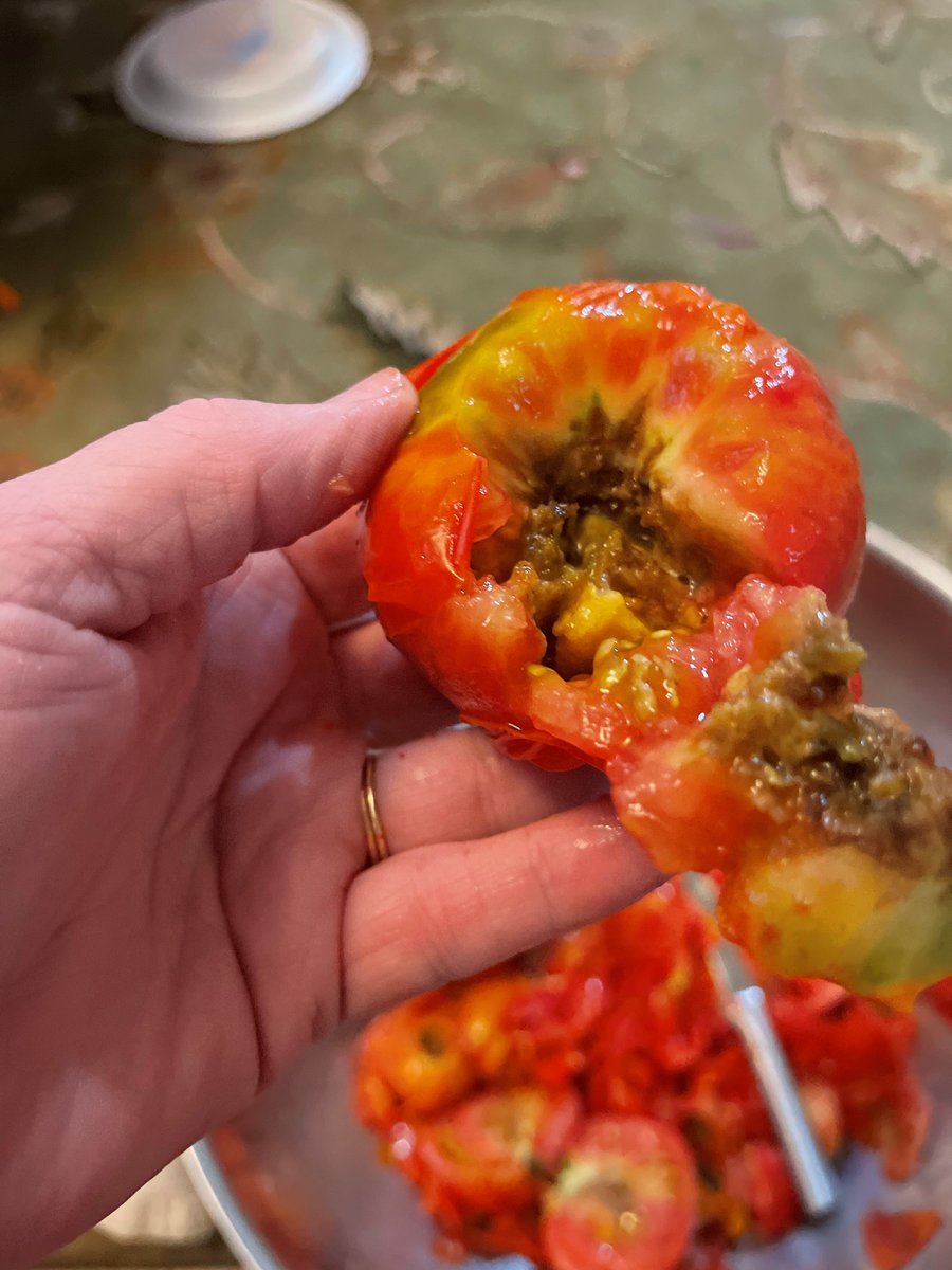 MSU Extension Plant Diagnostic Lab tweet media