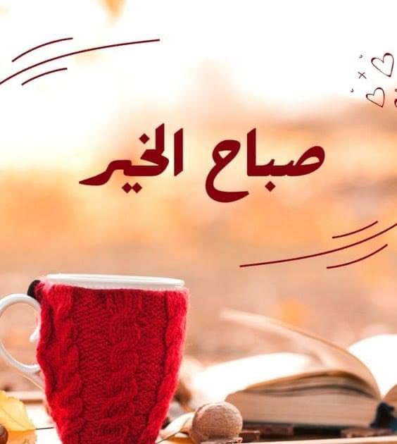 اسرقوا من الحيــــــاة حيــــــــــاة
  قبل أن يسرق العمر أجمل 
سنوات حياتكم 
اسرقوا من الفرح سعــــــادةً
  قبل أن يسرق منكم 
ابتسامة وجوهكم 
اسرقوا من أعماركم رفيقاً
قبل أن تسرق الحياة منكم 
نبض شبابكم .. 
العمر لحظة عش حراً 
عش دنياك ؛ ولا تنس أخرتك .. 
  عش جميلأ ترىٰ جميلا .