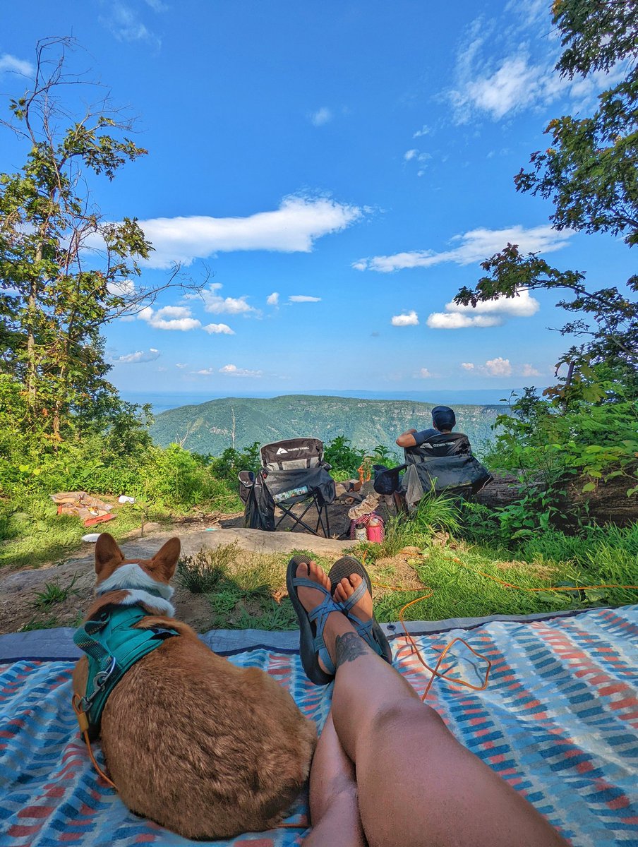 Kate1527712's tweet photo. Wow shout out to our campsite rn https://t.co/AS0T69GD9j