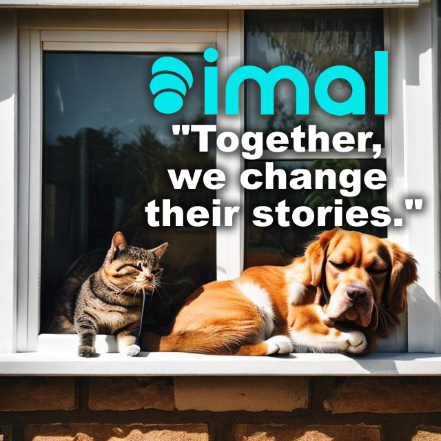 imal_io's tweet photo. 🐾🌟 Help us make a difference in the lives of our furry friends! 🌟🐾 With your support, we're providing funds to shelters and organizations dedicated to helping street animals. Together, we can give them the love and care they deserve. #AnimalsInNeed #LoveForStrays #pet #animal https://t.co/QgWKVQ88y3