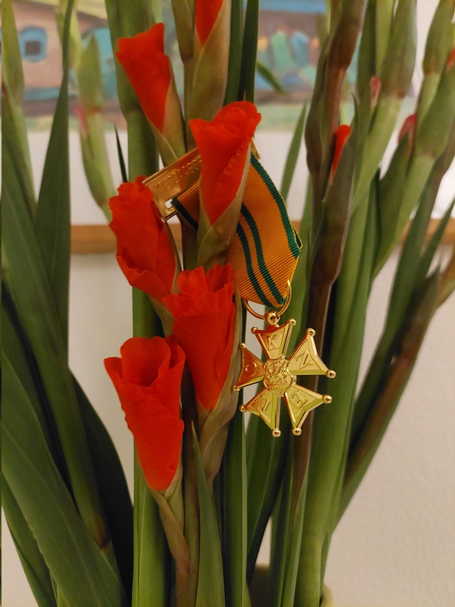 Merit Hondelink tweet media