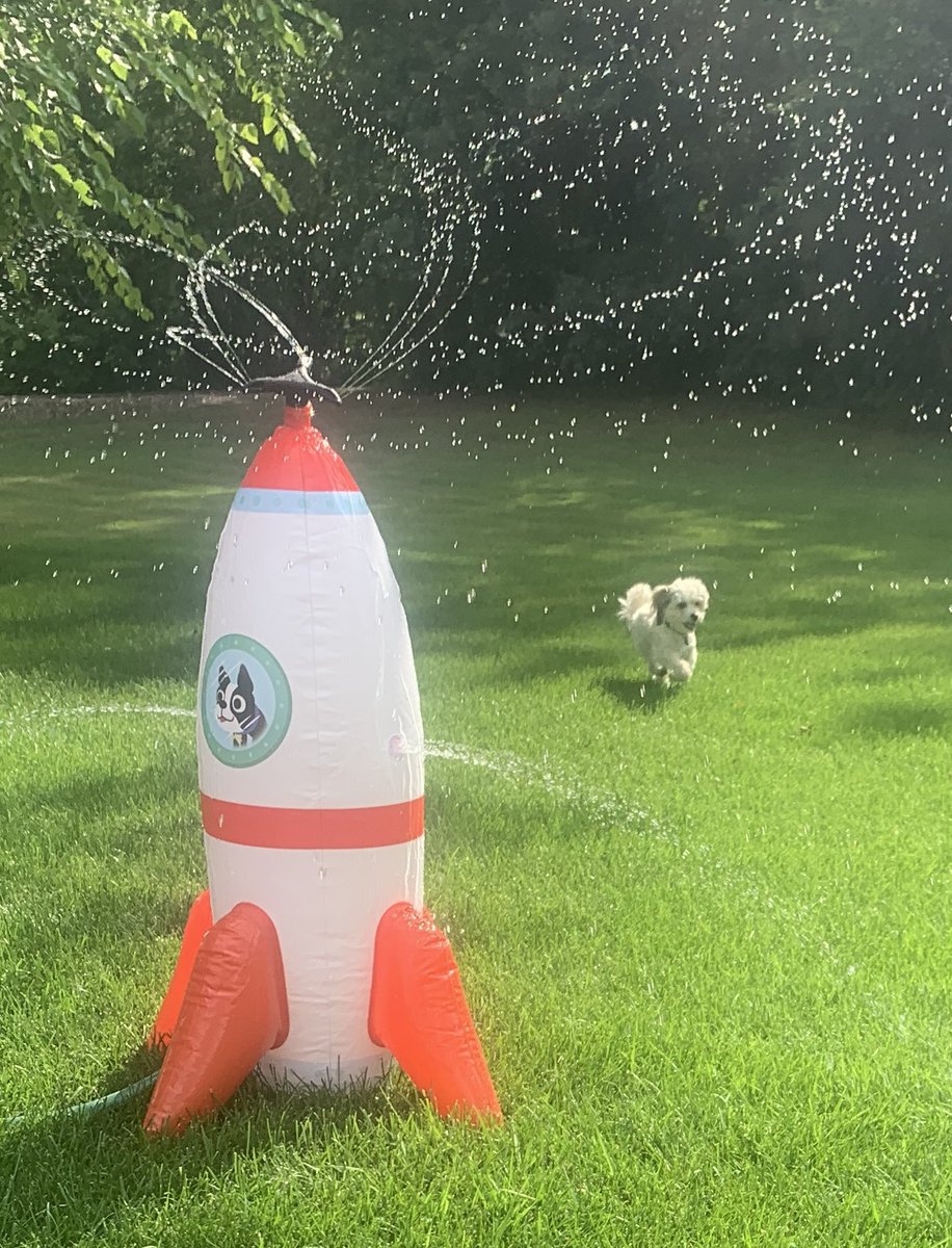 Love my new puppy sprinkler🐶 🚀 ! Can’t stay in it too long because I look 😱 when I’m wet.