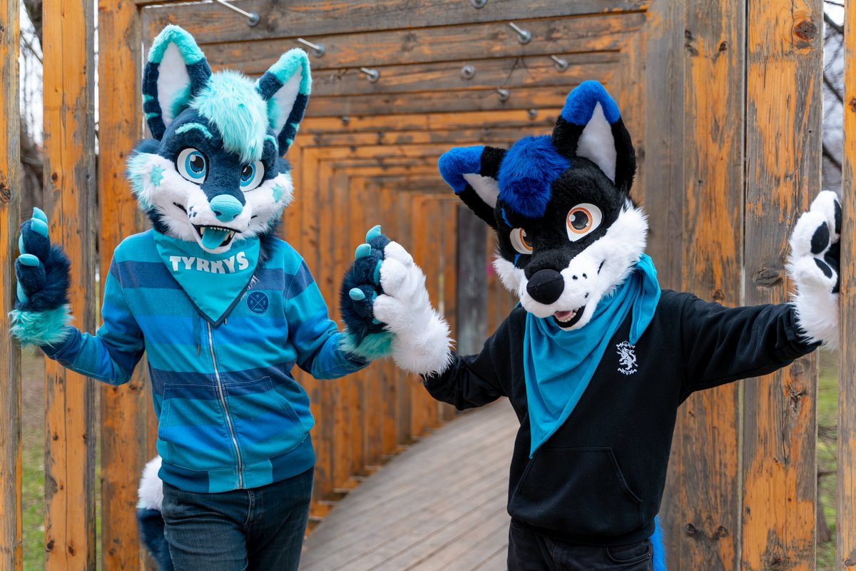 TyrkysHusky's tweet photo. Me and @vlaaacek enjoying today's #FursuitFriday together 👀

🦊 @vlaaacek 
📷 @FlupVolta https://t.co/LPRwwzxaOj