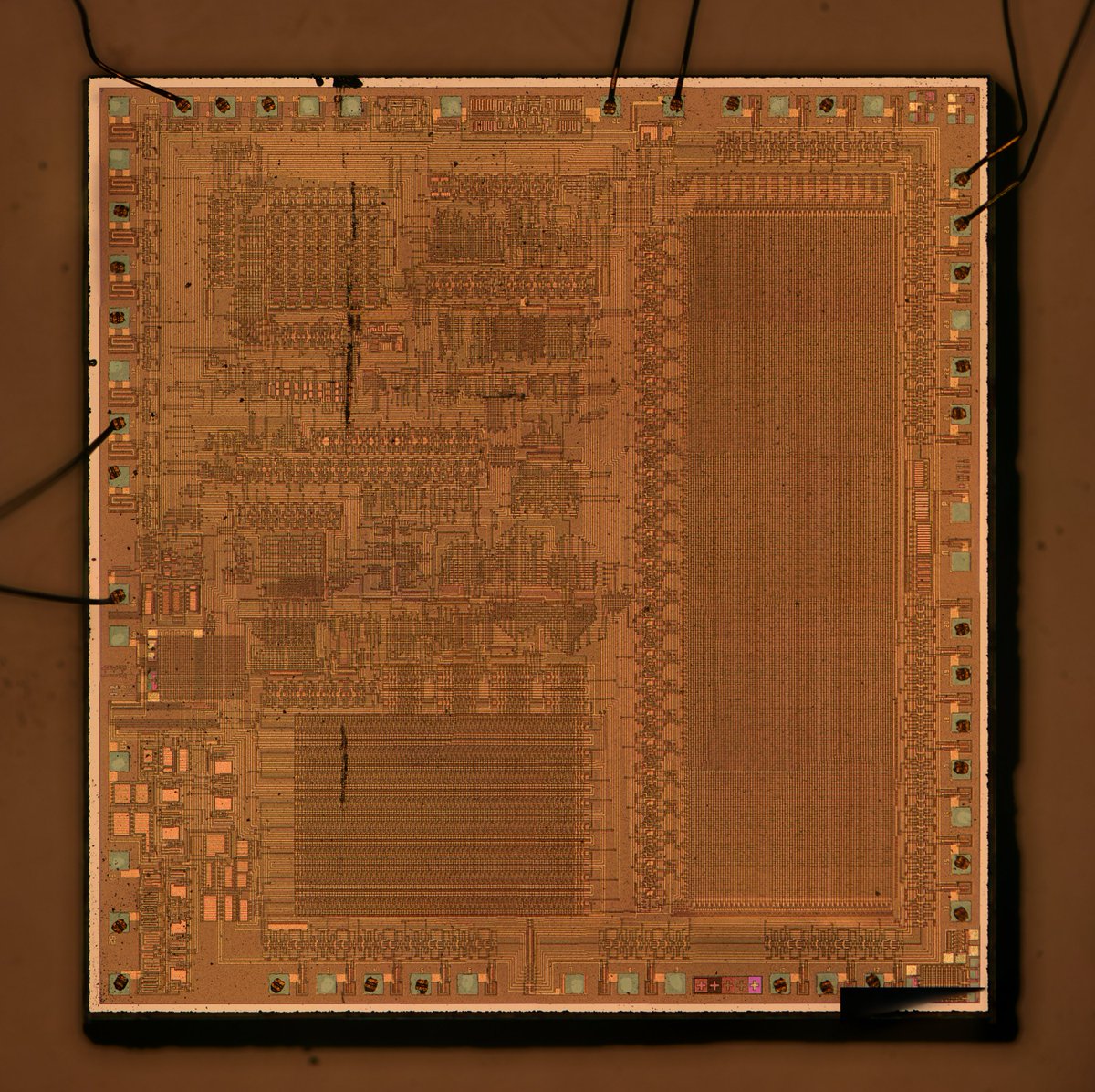MK51, a single-chip RPN calculator from Электроника.  The program ROM is on the right side, but bits are not surface visible.  Maybe I can reveal them with delayering or a Dash etch.