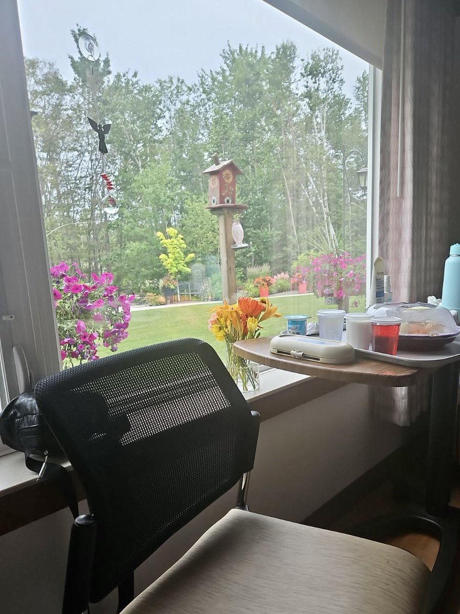 Melody Dover tweet media