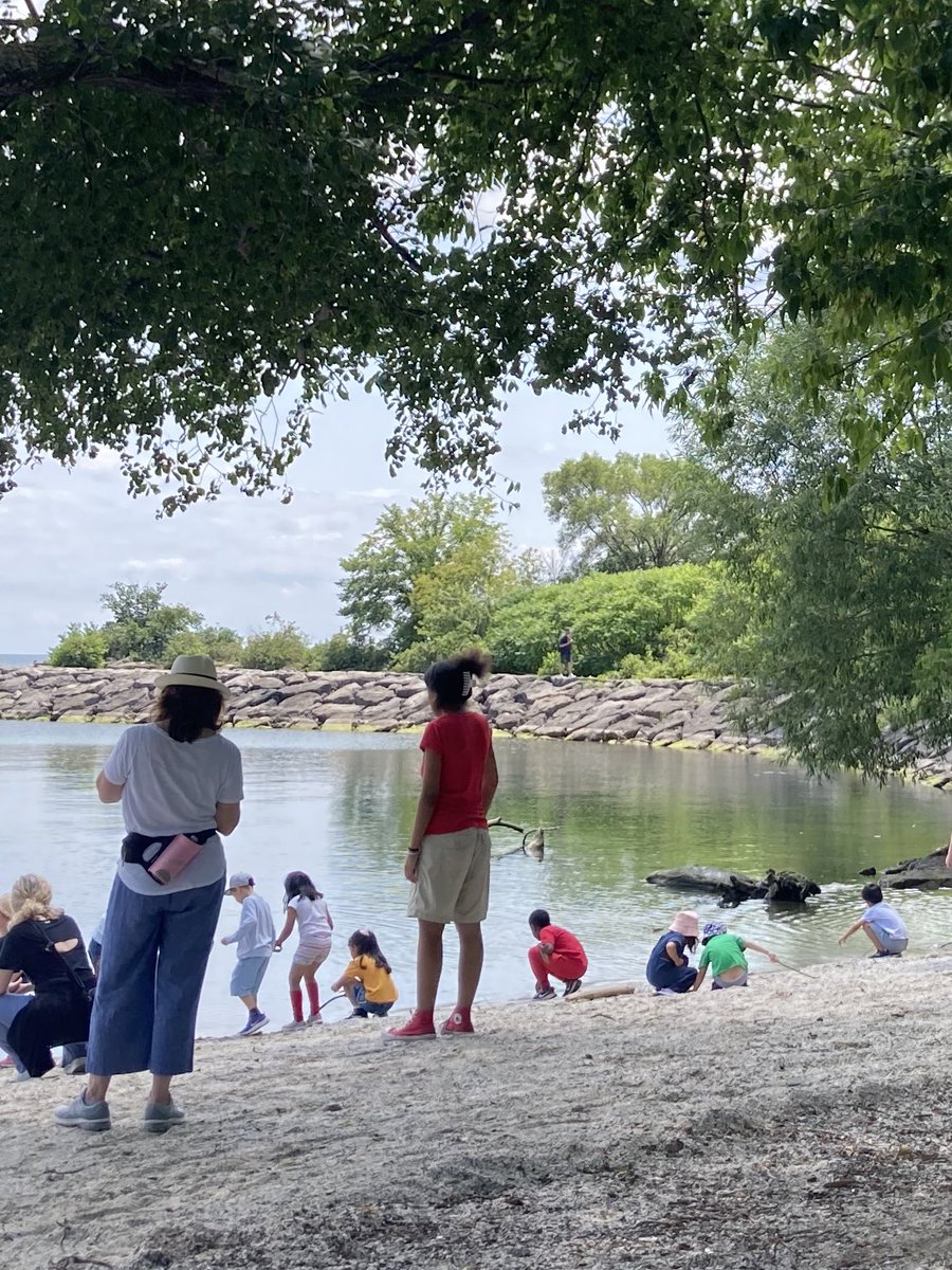 emmoretti's tweet photo. A final nature walk. Observing. Exploring. Discovering. @OntarioSLP @TCDSB @TCDSBSummerLit #TCDSBSummerLearning2023 https://t.co/mdkUmbcz8f