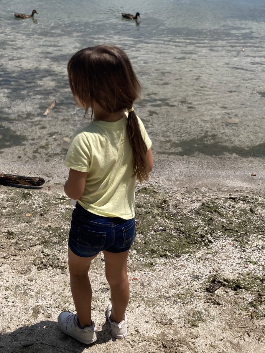 emmoretti's tweet photo. A final nature walk. Observing. Exploring. Discovering. @OntarioSLP @TCDSB @TCDSBSummerLit #TCDSBSummerLearning2023 https://t.co/mdkUmbcz8f