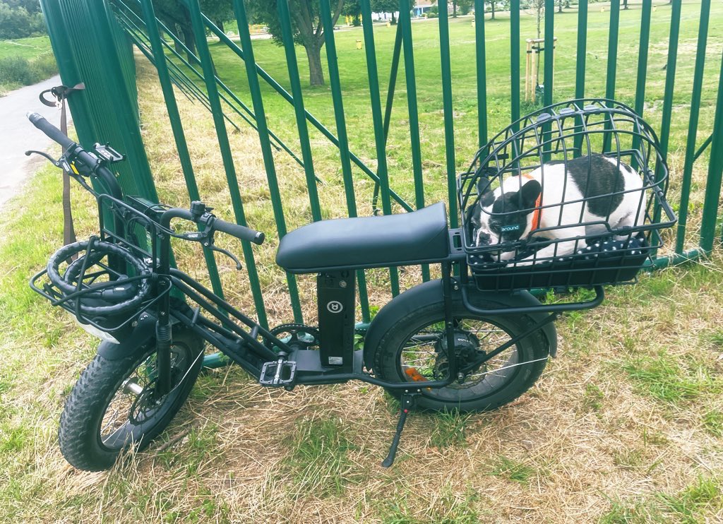 Cookie_and_Alan's tweet photo. Diese Fahrrad is heute von mir geklaut!   Falls jemand es sieht- bitte beim Polizei oder hier melden!   Danke #Düsseldorf #Diebstahl #Fahrraddiebstahl https://t.co/BZFbzOWQza