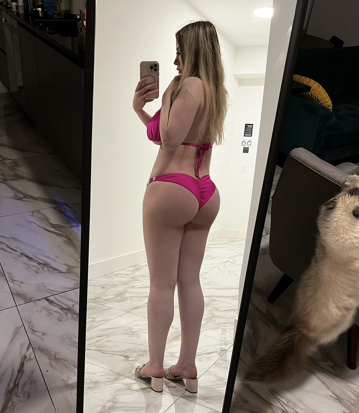 Castaway on Twitter: "my cat is so cute 🥰 https://t.co/Lfkuc2InnI