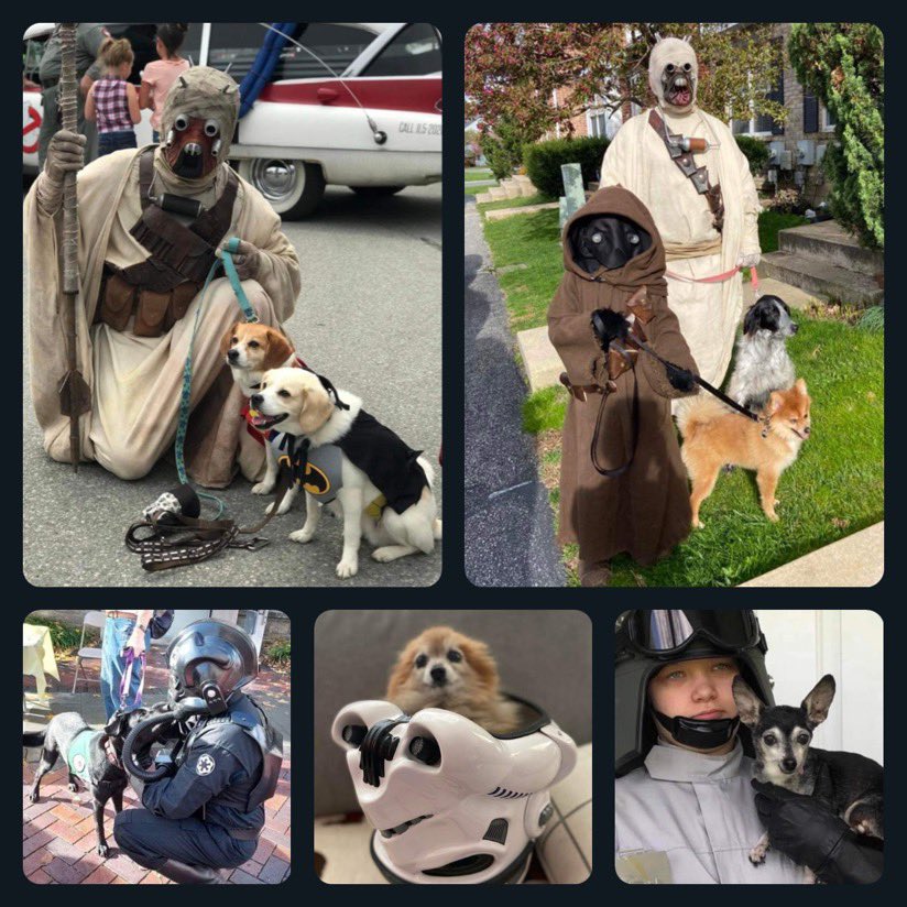 The Empire is going to the dogs!  The 501st Legion First State Garrison wishes all the Imperial Pups out there a happy World Dog Day. 🐾

#501stLegion #FirstStateGarrison #BadGuysDoingGood #WorldDogDay #BestFriends #AdoptisLove