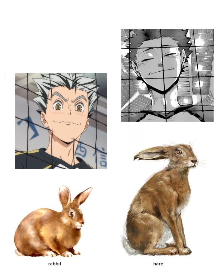 kiwi_trucks's tweet photo. bokuto is like the cute little bunny to tendou’s terrifying hare https://t.co/S8MSrL3vBf