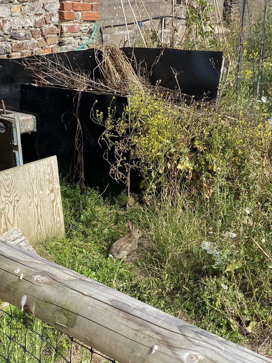 Back to Earth tweet media