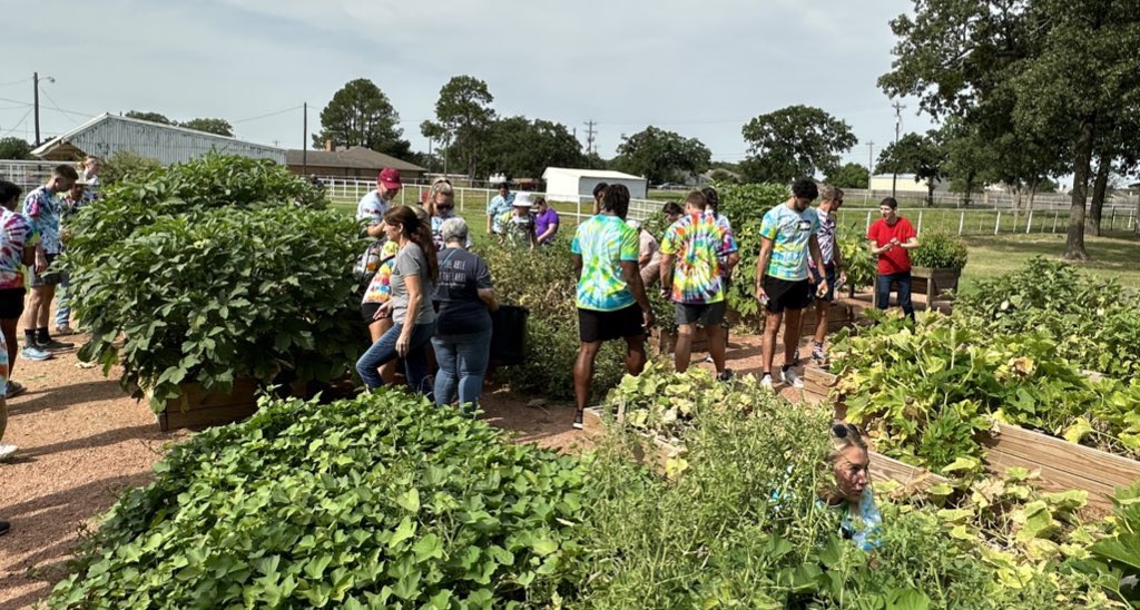 The annual #LSCsaac Retreat is off to a strong start! Student-athletes are serving at the Blue Sky Therapeutic Riding &amp; Respite in Krugerville, Texas. 

#MakeItYours <a href="/D2SAAC/">Division II SAAC</a>