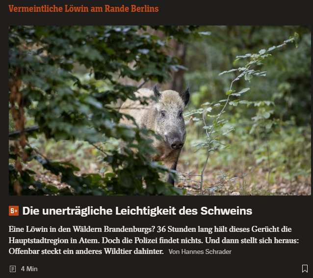 Ehrlich, lieber <a href="/spiegel/">FTN Capital</a>, diese Verballhornung hat Milan #Kundera nicht verdient; das ist gewissermaßen unter aller Sau ... 🙄 #loeweberlin