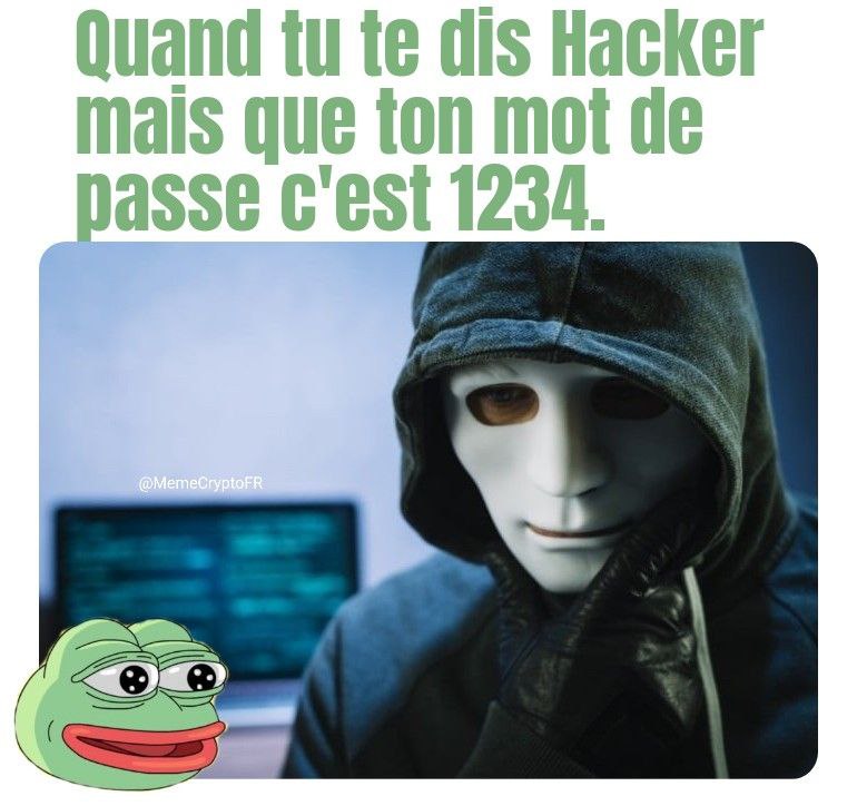 Kaeru 🐸 CEO of Meme (@memecryptofr) on Twitter photo 