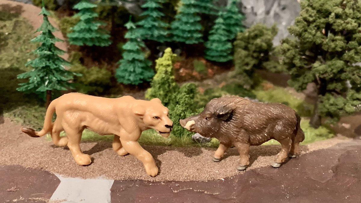 Löwin vs. Wildschwein 

Memo an @Waldesruh5 : die spannendsten Geschichten schreibt das Leben!

#Plahotiere #Loewin