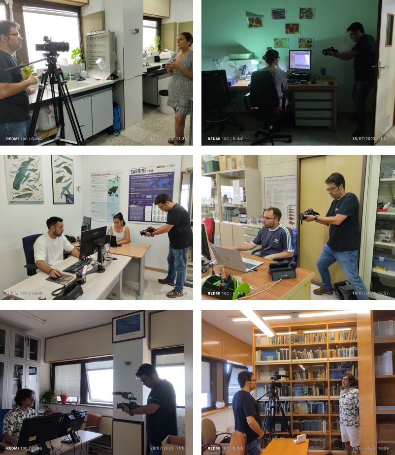 MERVEX group_IEO (@mervexgroup_ieo) on Twitter photo 🥳We continue with the surprises!
🎥This week we were recording!
👩🔬🧑💻👩💼Varios members of the group #MERVEX were showing and explaining to <a href="/rafaelmendezp/">Rafael Mendez</a> their lines of work!
🚢🎣📊 Biology of fishery resources, modelling and scientific advice... 🥳We continue with the surprises!
🎥This week we were recording!
👩🔬🧑💻👩💼Varios members of the group #MERVEX were showing and explaining to <a href="/rafaelmendezp/">Rafael Mendez</a> their lines of work!
🚢🎣📊 Biology of fishery resources, modelling and scientific advice...
