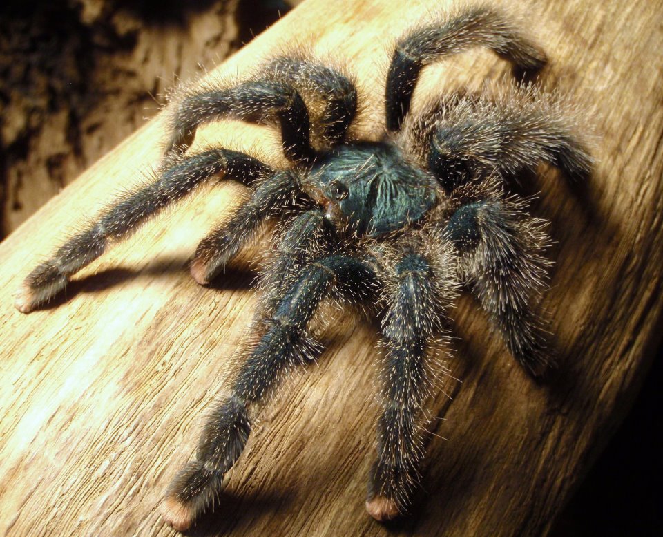 La Grange Public Library tweet media