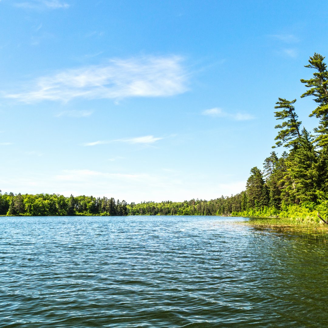 on Twitter "Calcium & magnesium occur naturally in groundwater from rocks like