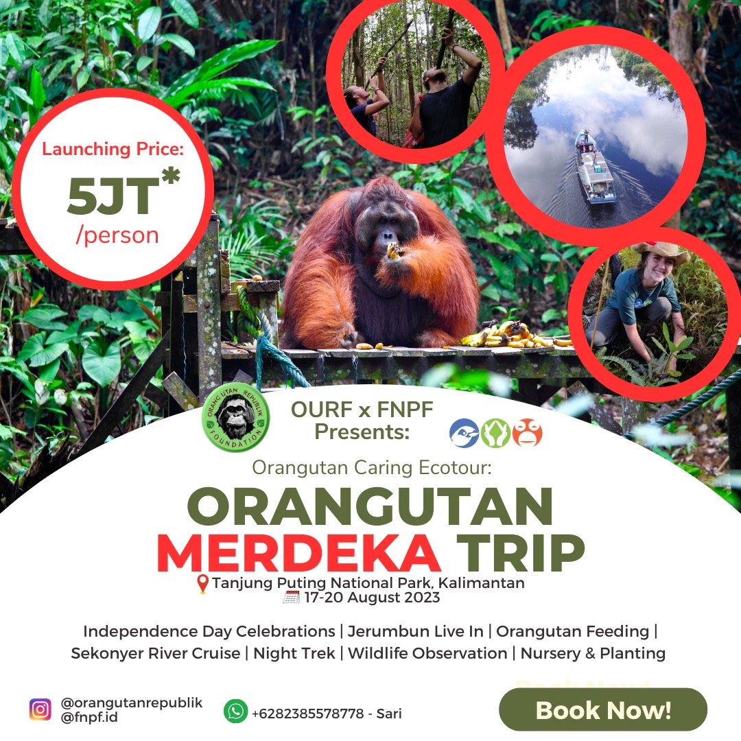 Orang Utan Republik tweet media