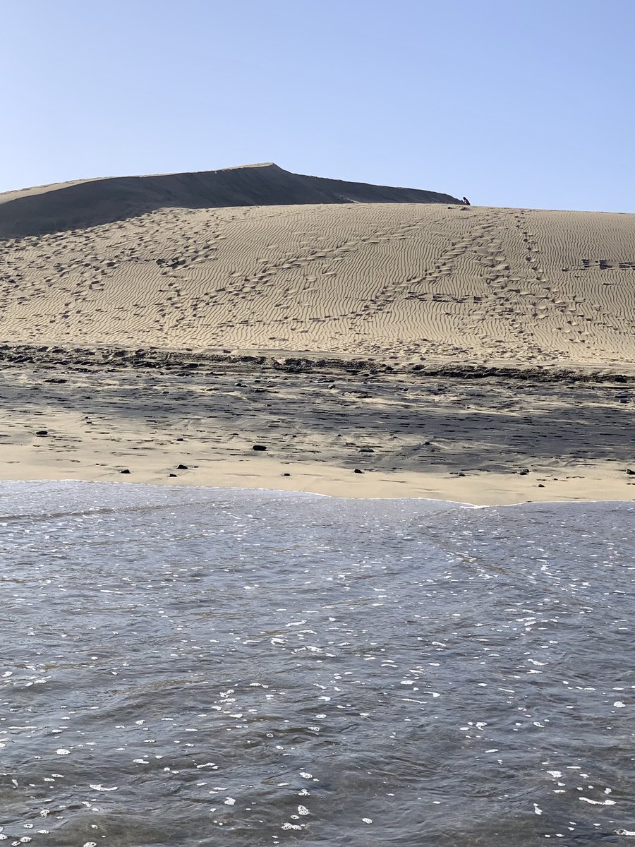 jfguzmanm's tweet photo. 08:35 #Piletas #22Grados #SanLorenzoDeTamaraceite
19:00 #Maspalomas #33Grados
#GranCanaria #PequeñoContinente #ParaisoNatural #VivirEnElParaiso #QueSuerrteVicirAquí #MePidoEstaVida https://t.co/OlnxTWFczP