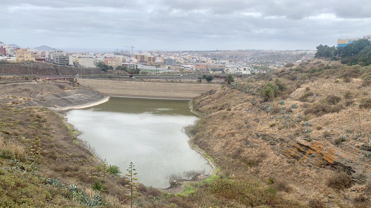 jfguzmanm's tweet photo. 08:35 #Piletas #22Grados #SanLorenzoDeTamaraceite
19:00 #Maspalomas #33Grados
#GranCanaria #PequeñoContinente #ParaisoNatural #VivirEnElParaiso #QueSuerrteVicirAquí #MePidoEstaVida https://t.co/OlnxTWFczP