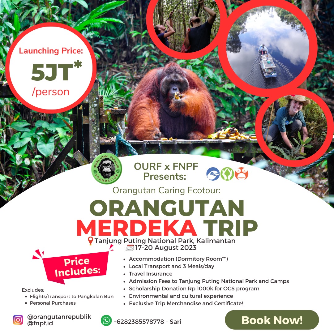 Orang Utan Republik tweet media