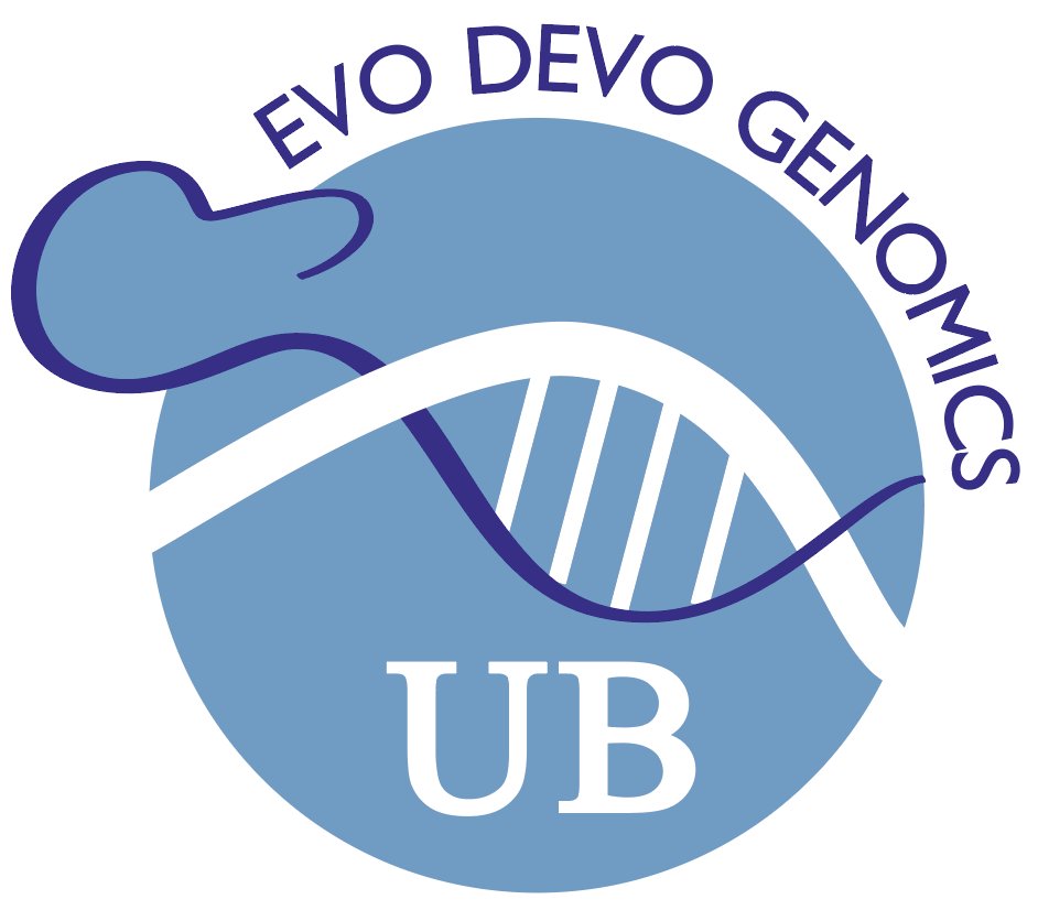 CañestroLab EvoDevoGenomeUB GeneLoss🫀Heart🌊Ocean (@evodevogenomeub) on Twitter photo The new project funding💰 comes with a brand new #logo for <a href="/evodevogenomeUB/">CañestroLab EvoDevoGenomeUB GeneLoss🫀Heart🌊Ocean</a>🤩.
The beautiful artwork is the result of the collaborative participation and inputs of the many artists 🧑🎨 we have in our lab <a href="/FerrandezRoldan/">Alfonso Ferrández Roldán</a> <a href="/nptorresag/">Nuria Torres</a> @evroqu @G4sparS <a href="/MarcFabrega01/">Marc Fabregà-Torrus</a> <a href="/baielx_/">Biel Cassà</a> 👏👏👏 The new project funding💰 comes with a brand new #logo for <a href="/evodevogenomeUB/">CañestroLab EvoDevoGenomeUB GeneLoss🫀Heart🌊Ocean</a>🤩.
The beautiful artwork is the result of the collaborative participation and inputs of the many artists 🧑🎨 we have in our lab <a href="/FerrandezRoldan/">Alfonso Ferrández Roldán</a> <a href="/nptorresag/">Nuria Torres</a> @evroqu @G4sparS <a href="/MarcFabrega01/">Marc Fabregà-Torrus</a> <a href="/baielx_/">Biel Cassà</a> 👏👏👏