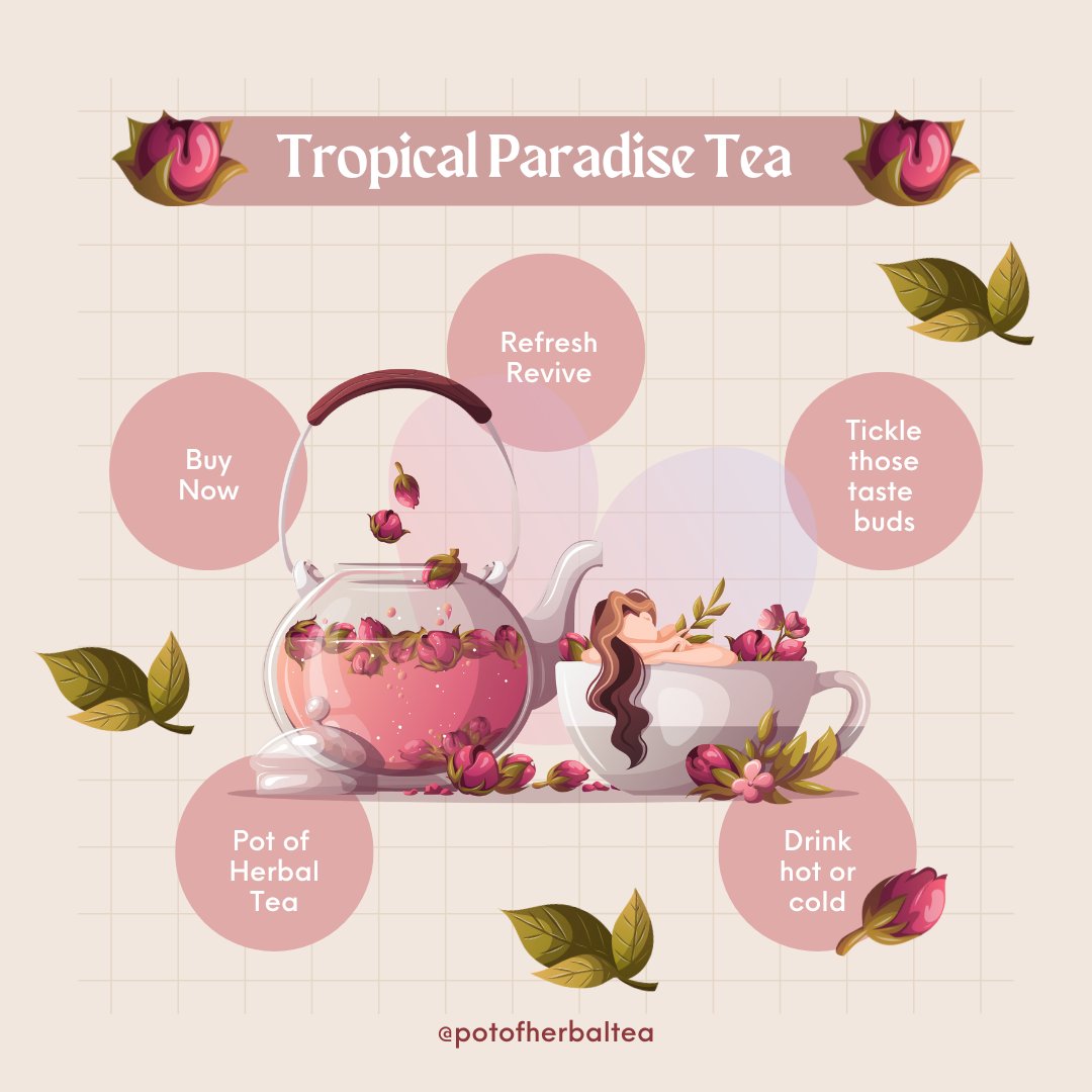 PotOfHerbalTea's tweet photo. Our tropical paradise tea is so delicious. Why not treat yourself. #WomanInBizHour #tea #tealovers #herbaltea https://t.co/0FpqJs8HMt