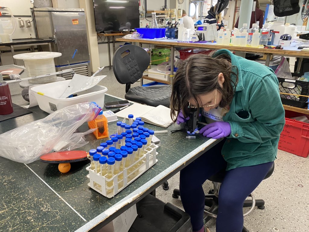 Sarah K. Hu tweet media