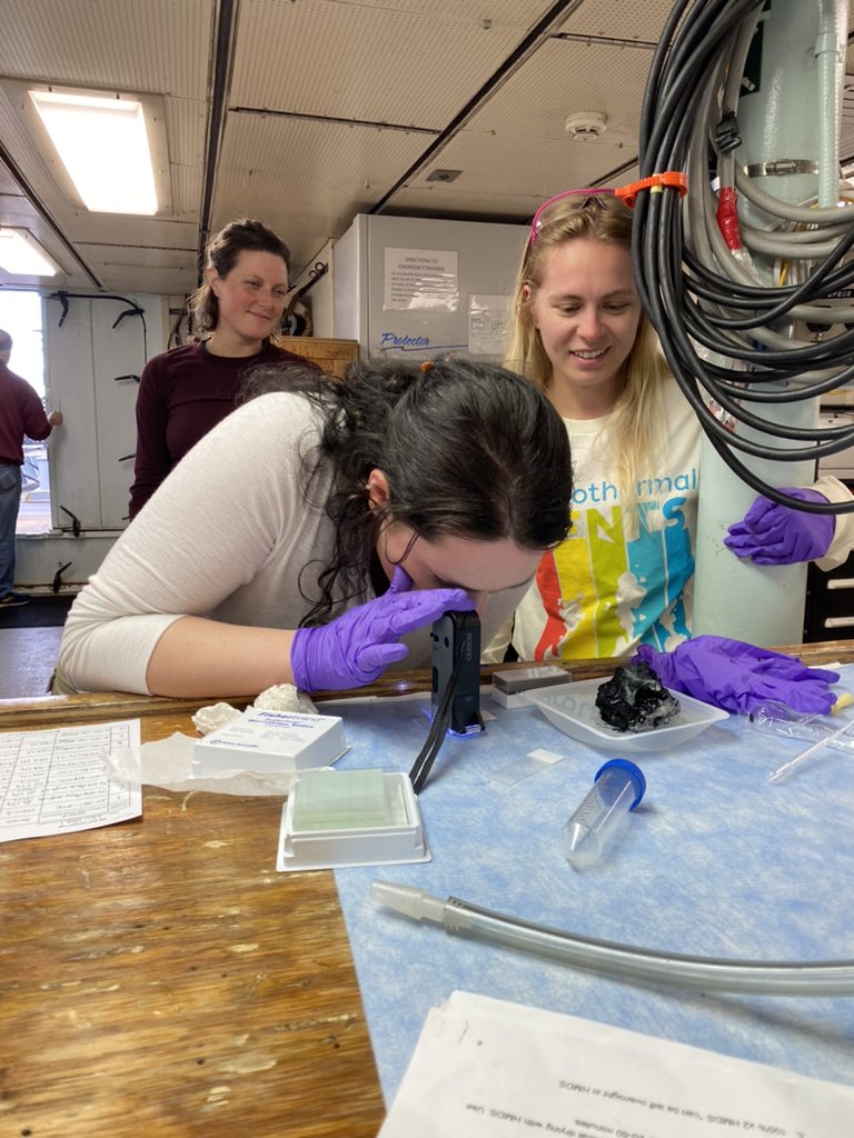 Sarah K. Hu tweet media