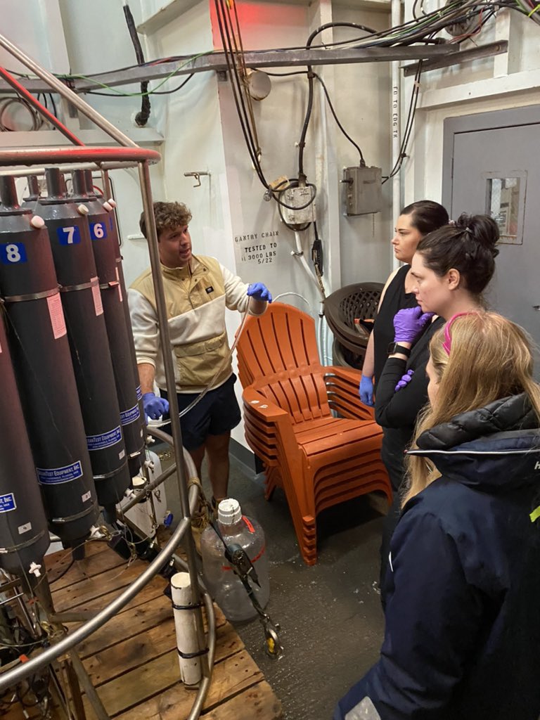 Sarah K. Hu tweet media