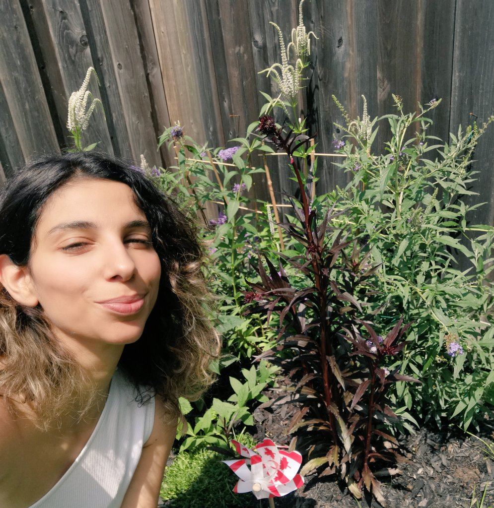 mundanemun's tweet photo. Me, Installs butterfly corner at rental house
Kid2: those plants are giving us the middle finger, cool!
#culversroot
#mostlynativeland https://t.co/4c6HfTykJ2