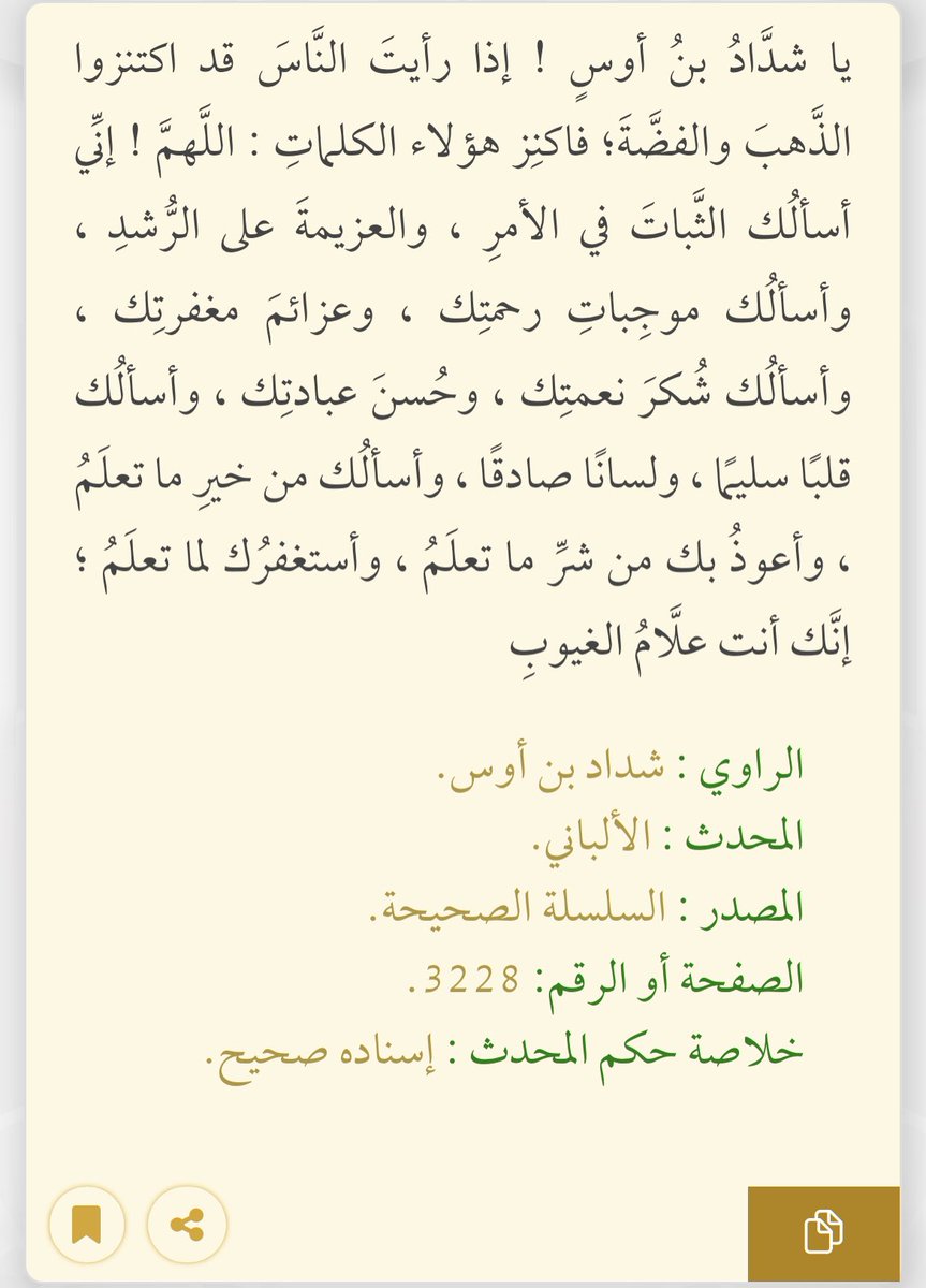 Nouf tweet media
