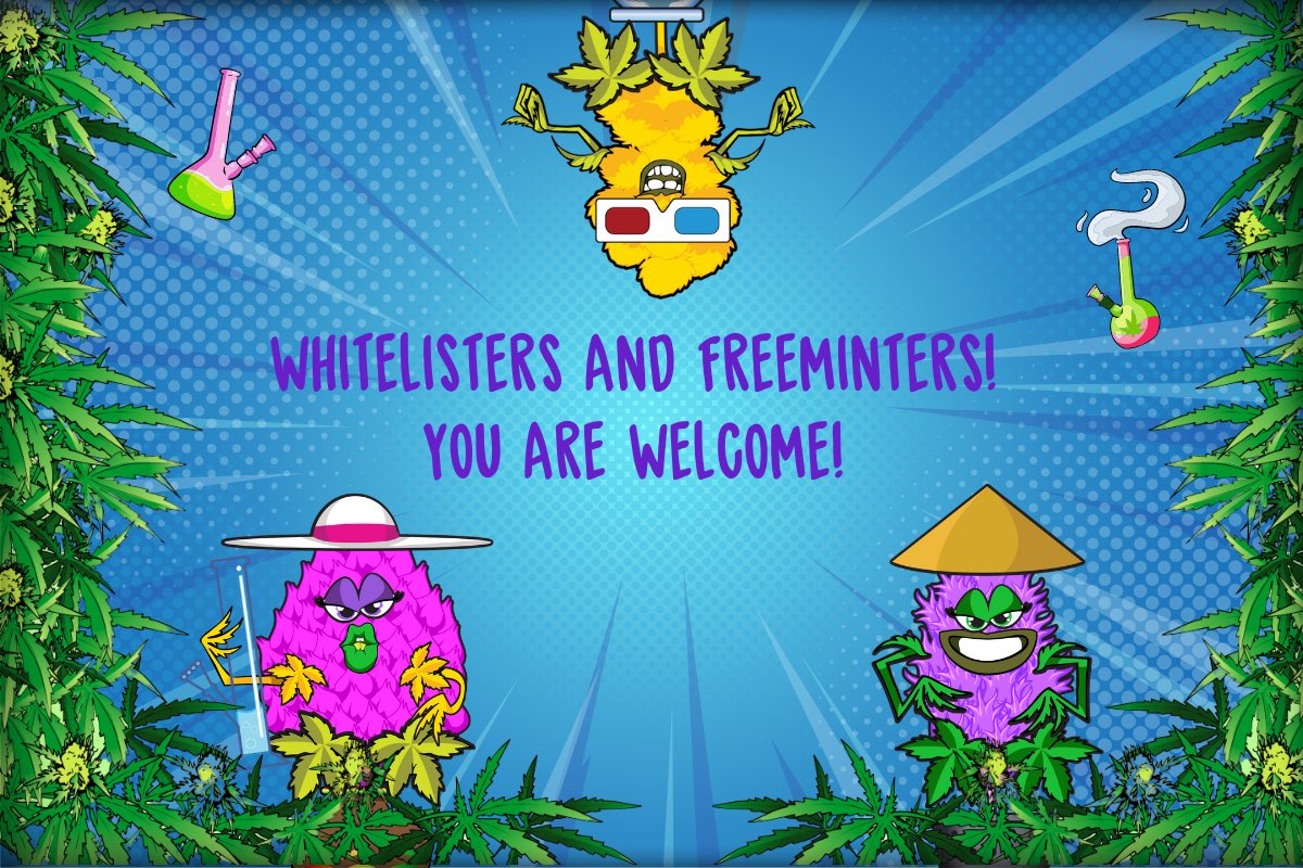 CryptoChronic1's tweet photo. ￼Guys, Freemint opens Tuesday 25th July at 2:00 pm CEST for ONLY 3 HOURS!
If you won a #CryptoChronics #NFT prize and provided your wallet address, we await you!!!

➡️ Whitelist members! We are waiting for you today until 23:59 CEST! Your price is 0.015 ETH! ￼

Enter here via your MetaMask wallets￼ https://t.co/TJkWRIoQsl

#gaming #NFTProject #CryptoChronics #NFT #Cannaverse #CryptoChronicCannaverse