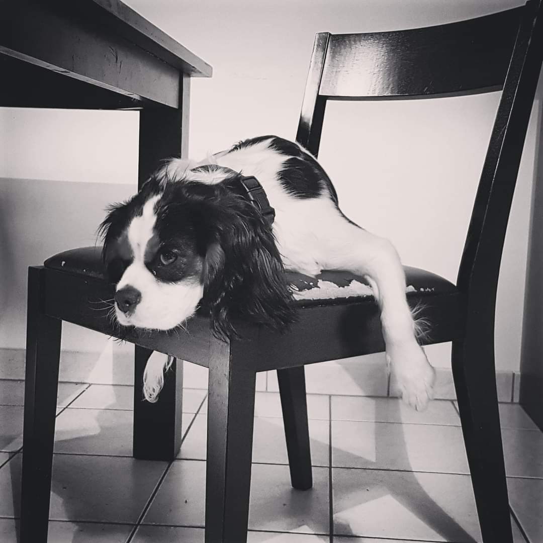 Aurélia YAYA tweet media