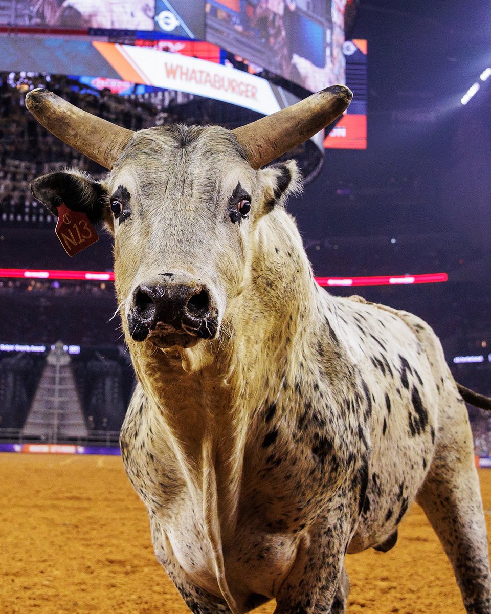 RODEOHOUSTON's tweet photo. My date to Barbie 🎀 vs my date to Oppenheimer 💣 https://t.co/asV37uqzeW