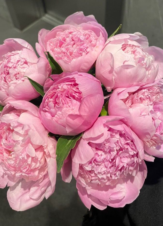 peonies are the prettiest🩷
