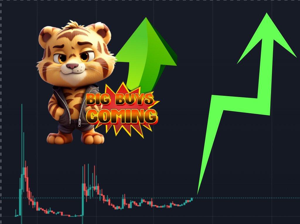 MiniBNBTiger tweet media