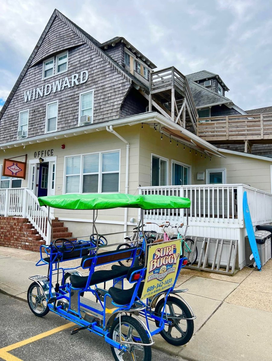 Windward Beach Haven tweet media