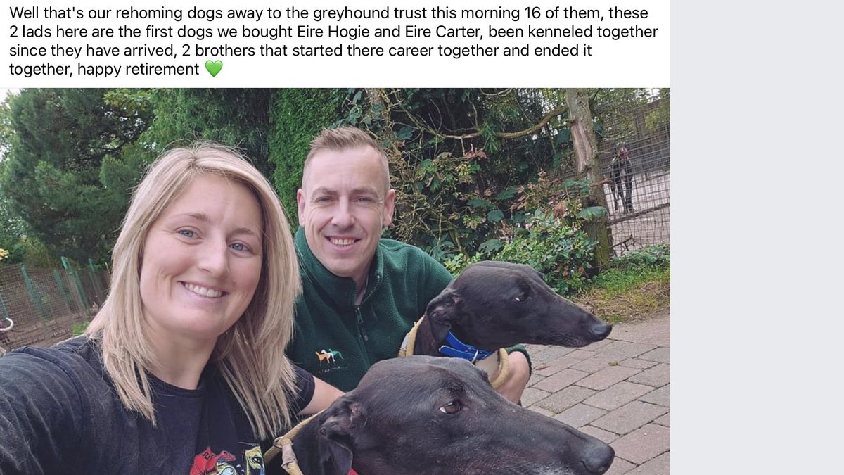This pair seem mighty proud to be kicking 16 dogs out to rescue. There are no homes out there and rescues are fit to burst! WTH are these people on? #RescuedNotRetired #BanGreyhoundRacing